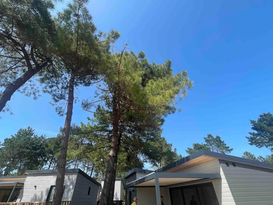 Cottage Dans Parc Residentiel De Loisirs, Piscine, 150M De La Mer ジュルヴィル・レ・パン エクステリア 写真